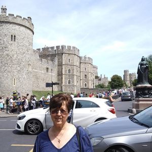 Meet your Posher, Sylvia